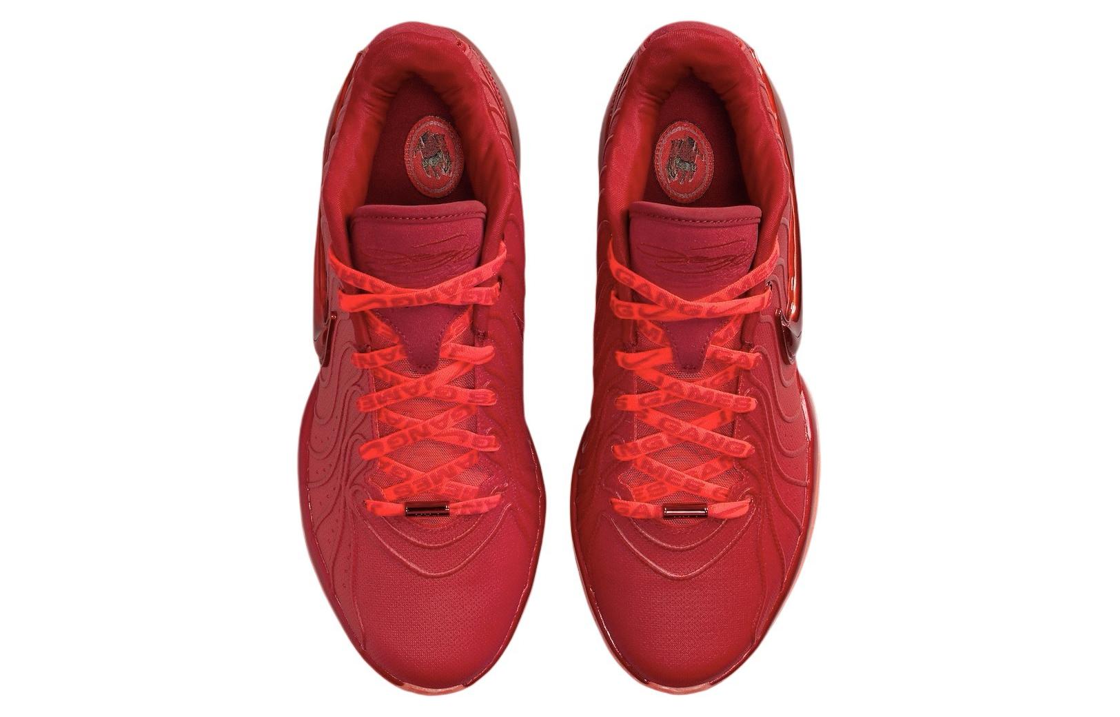 Nike LeBron 21 'James Gang'