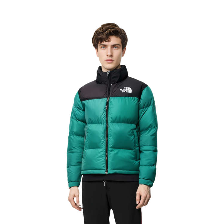 THE NORTH FACE 1996 Retro Eco Nuptse Packable Jacket Asia Sizing