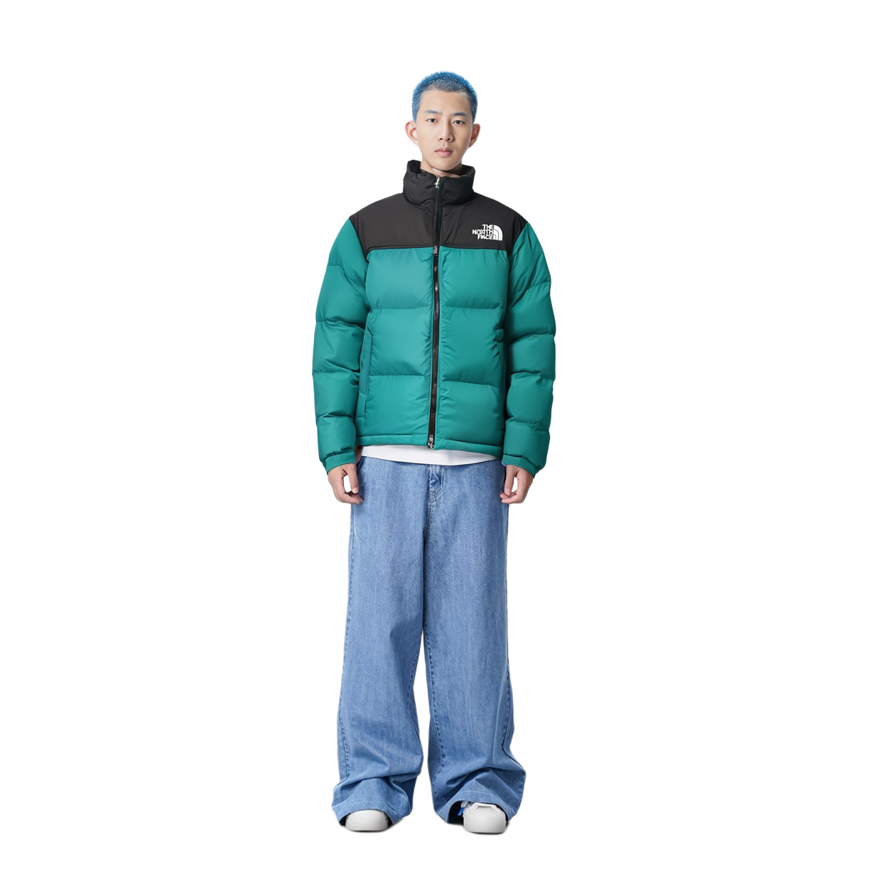 THE NORTH FACE 1996 Retro Eco Nuptse Packable Jacket Asia Sizing