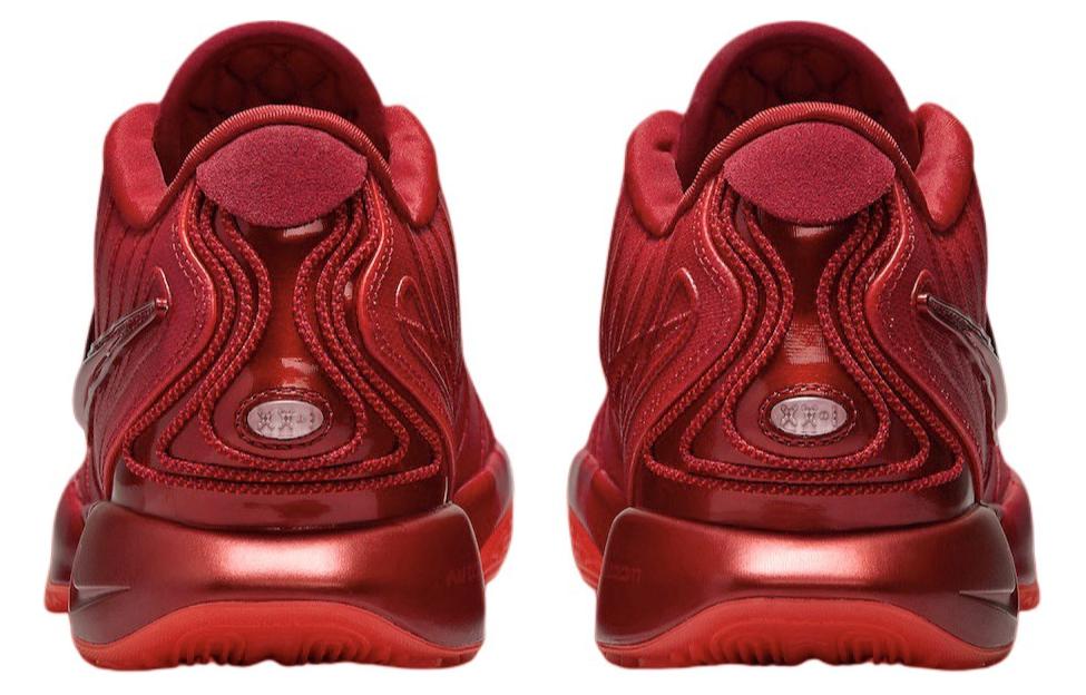 Nike LeBron 21 'James Gang'